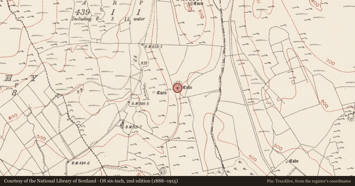 Ordnance Survey six-inch map, 2nd edition (1888–1915) covering the location of Souterrain, Treanmore, County Sligo, with a pin at the register's coordinates