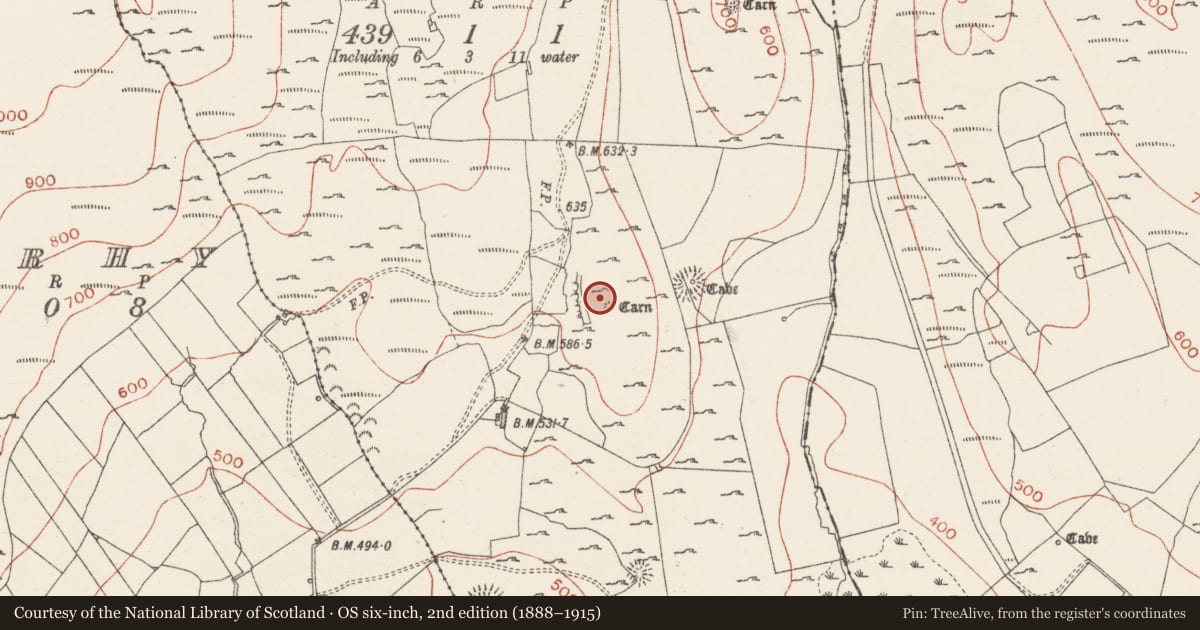 Ordnance Survey six-inch map, 2nd edition (1888–1915) covering the location of Hut site, Treanmore, County Sligo, with a pin at the register's coordinates