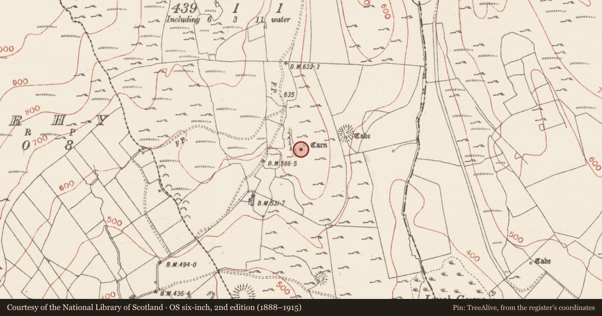 Ordnance Survey six-inch map, 2nd edition (1888–1915) covering the location of Cairn - unclassified, Treanmore, County Sligo, with a pin at the register's coordinates