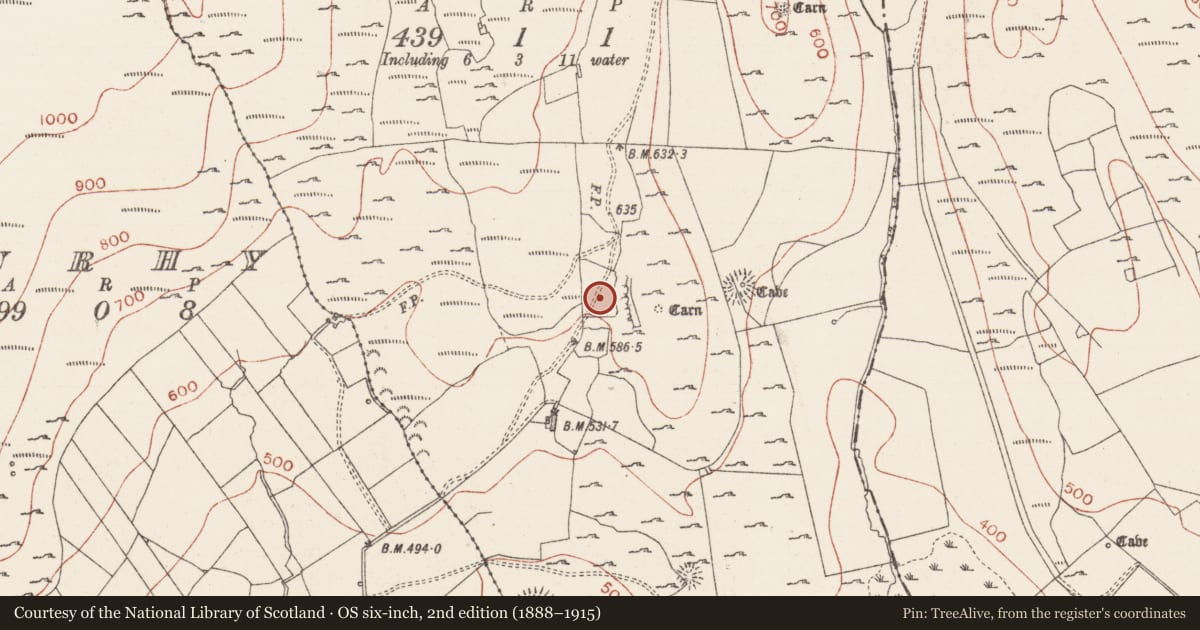 Ordnance Survey six-inch map, 2nd edition (1888–1915) covering the location of Settlement cluster, Treanmore, County Sligo, with a pin at the register's coordinates
