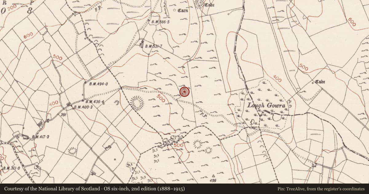 Ordnance Survey six-inch map, 2nd edition (1888–1915) covering the location of Enclosure, Treanmore, County Sligo, with a pin at the register's coordinates