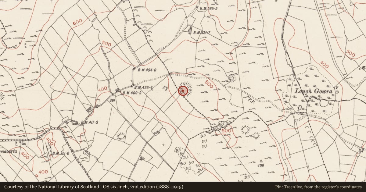 Ordnance Survey six-inch map, 2nd edition (1888–1915) covering the location of Ringfort - rath, Murhy, Treanmore, County Sligo, with a pin at the register's coordinates