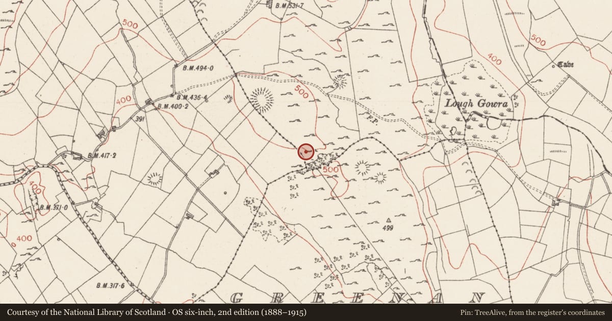 Ordnance Survey six-inch map, 2nd edition (1888–1915) covering the location of Hut site, Treanmore, County Sligo, with a pin at the register's coordinates