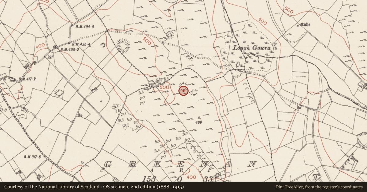Ordnance Survey six-inch map, 2nd edition (1888–1915) covering the location of Ringfort - cashel, Greenan, County Sligo, with a pin at the register's coordinates