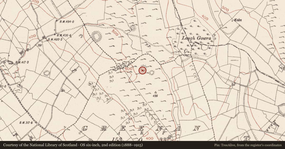 Ordnance Survey six-inch map, 2nd edition (1888–1915) covering the location of Souterrain, Greenan, County Sligo, with a pin at the register's coordinates