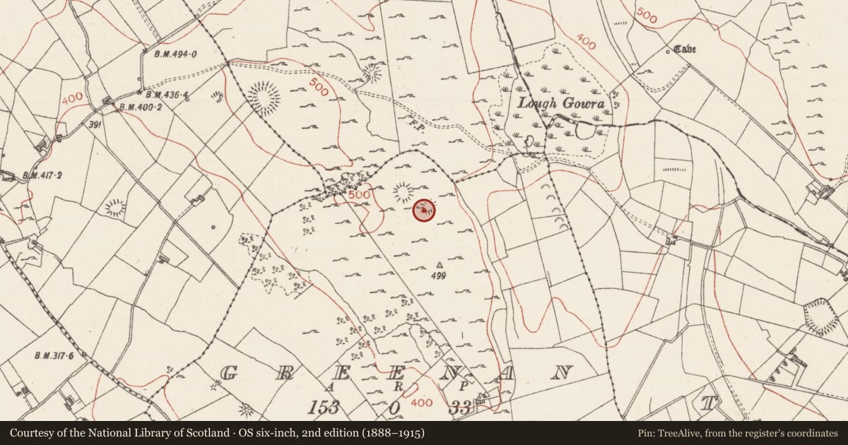 Ordnance Survey six-inch map, 2nd edition (1888–1915) covering the location of Kerb circle, Greenan, County Sligo, with a pin at the register's coordinates