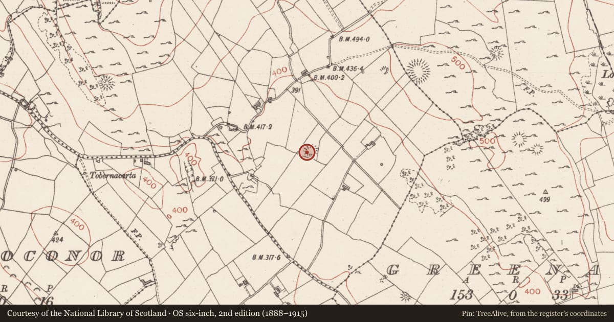 Ordnance Survey six-inch map, 2nd edition (1888–1915) covering the location of Ringfort - cashel, Murhy, County Sligo, with a pin at the register's coordinates