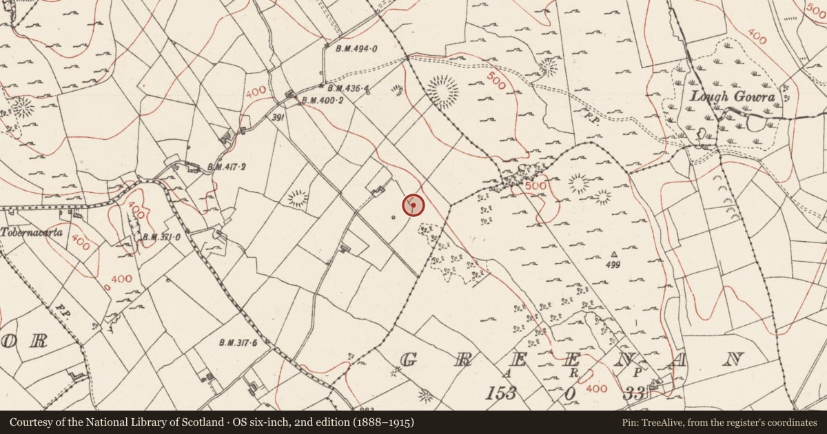 Ordnance Survey six-inch map, 2nd edition (1888–1915) covering the location of Quarry, Murhy, County Sligo, with a pin at the register's coordinates