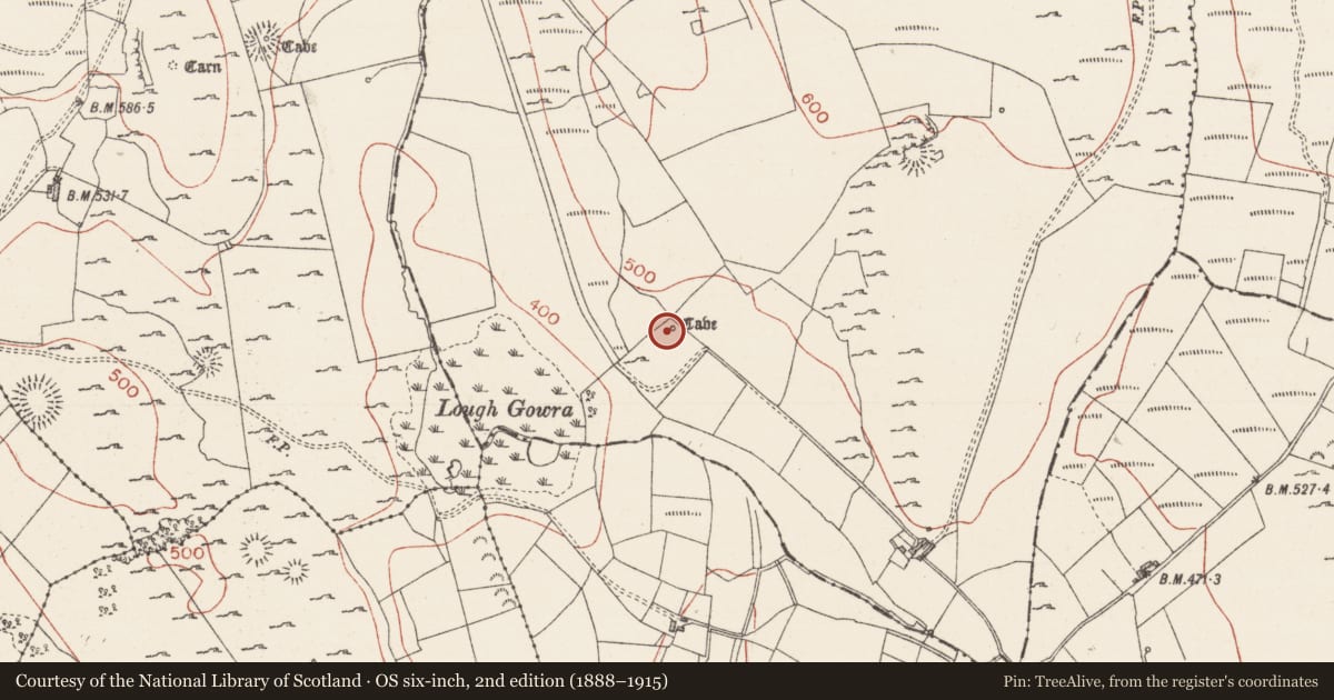 Ordnance Survey six-inch map, 2nd edition (1888–1915) covering the location of Souterrain, Treanmacmurtagh, County Sligo, with a pin at the register's coordinates