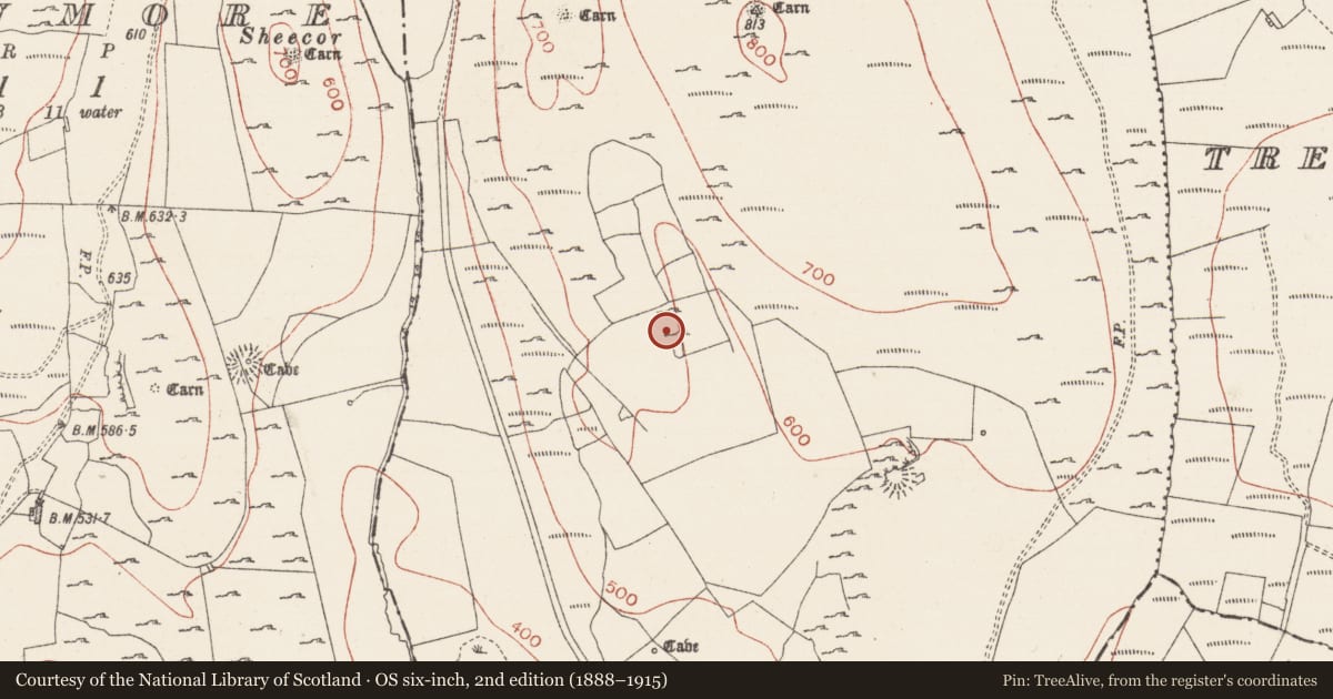 Ordnance Survey six-inch map, 2nd edition (1888–1915) covering the location of Settlement cluster, Treanmacmurtagh, County Sligo, with a pin at the register's coordinates