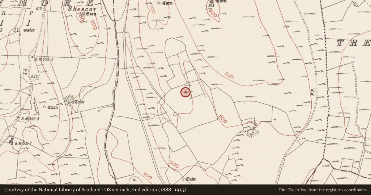 Ordnance Survey six-inch map, 2nd edition (1888–1915) covering the location of House - 18th/19th century, Treanmacmurtagh, County Sligo, with a pin at the register's coordinates