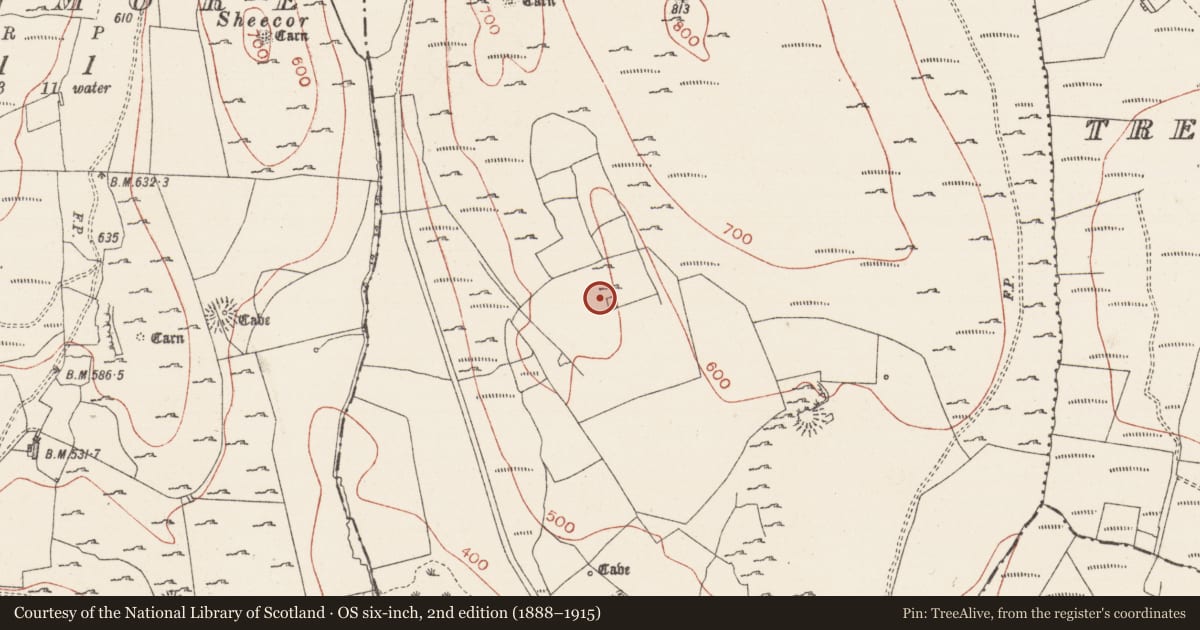 Ordnance Survey six-inch map, 2nd edition (1888–1915) covering the location of House - 18th/19th century, Treanmacmurtagh, County Sligo, with a pin at the register's coordinates