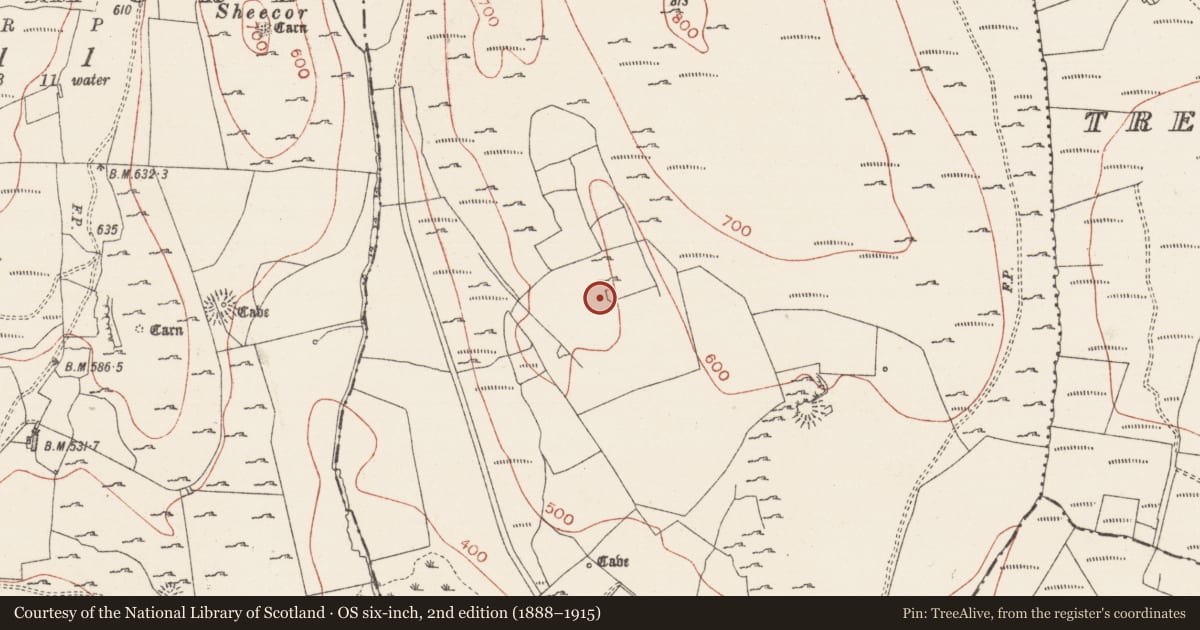 Ordnance Survey six-inch map, 2nd edition (1888–1915) covering the location of Structure, Treanmacmurtagh, County Sligo, with a pin at the register's coordinates