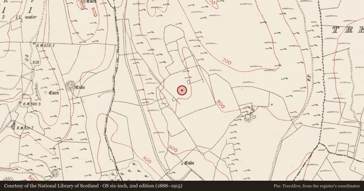 Ordnance Survey six-inch map, 2nd edition (1888–1915) covering the location of Kiln - lime, Treanmacmurtagh, County Sligo, with a pin at the register's coordinates
