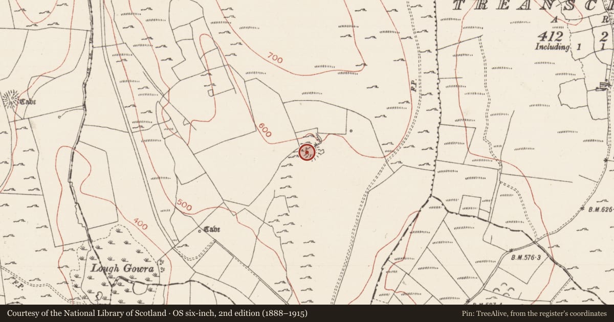Ordnance Survey six-inch map, 2nd edition (1888–1915) covering the location of Cliff-edge fort, Treanmacmurtagh, County Sligo, with a pin at the register's coordinates