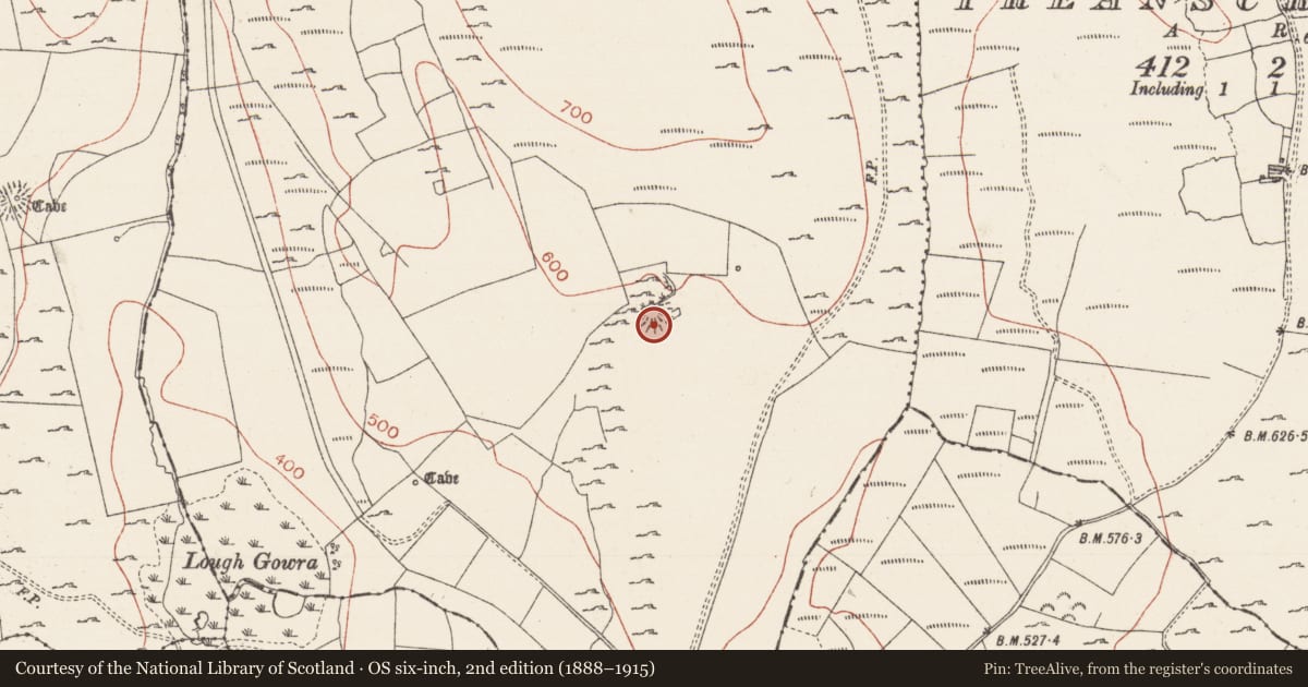 Ordnance Survey six-inch map, 2nd edition (1888–1915) covering the location of Hut site, Treanmacmurtagh, County Sligo, with a pin at the register's coordinates