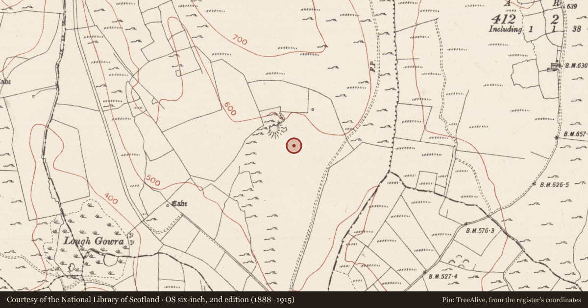 Ordnance Survey six-inch map, 2nd edition (1888–1915) covering the location of Field system, Treanmacmurtagh, County Sligo, with a pin at the register's coordinates