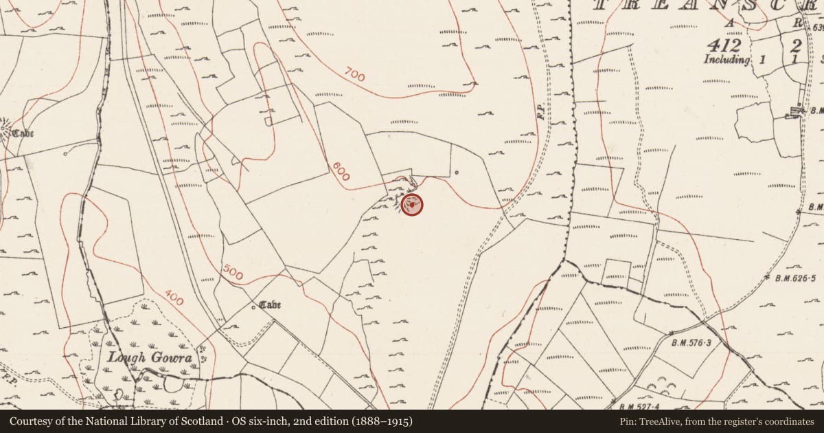 Ordnance Survey six-inch map, 2nd edition (1888–1915) covering the location of Enclosure, Treanmacmurtagh, County Sligo, with a pin at the register's coordinates