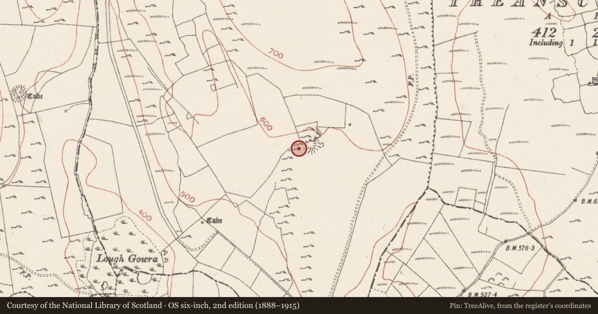 Ordnance Survey six-inch map, 2nd edition (1888–1915) covering the location of Kiln - lime, Treanmacmurtagh, County Sligo, with a pin at the register's coordinates