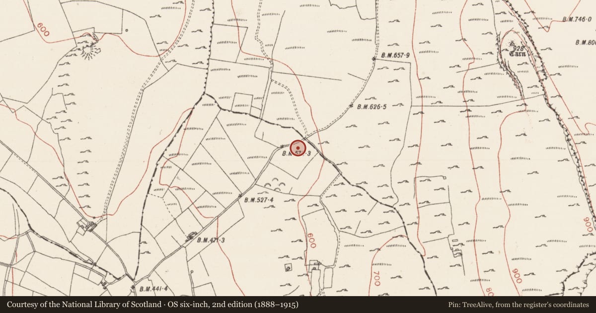 Ordnance Survey six-inch map, 2nd edition (1888–1915) covering the location of Ringfort - rath, Tully, County Sligo, with a pin at the register's coordinates