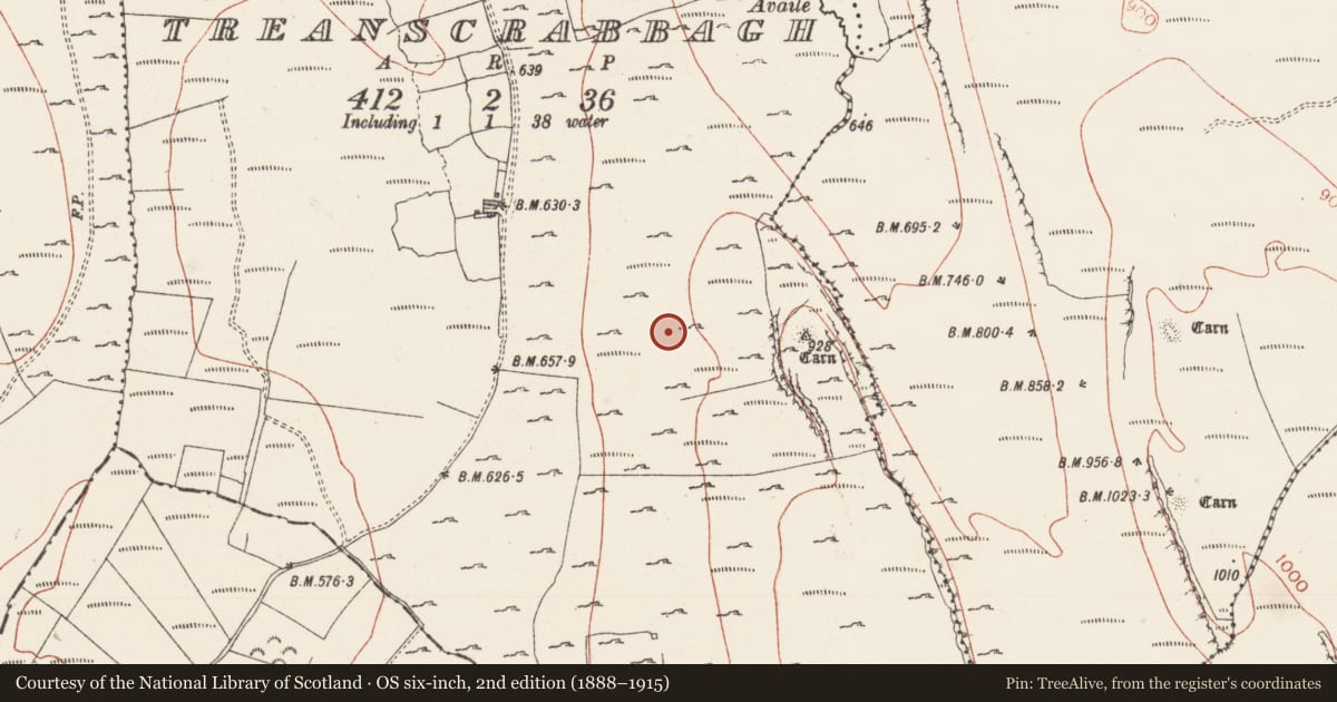 Ordnance Survey six-inch map, 2nd edition (1888–1915) covering the location of Ringfort - cashel, Treanscrabbagh, County Sligo, with a pin at the register's coordinates
