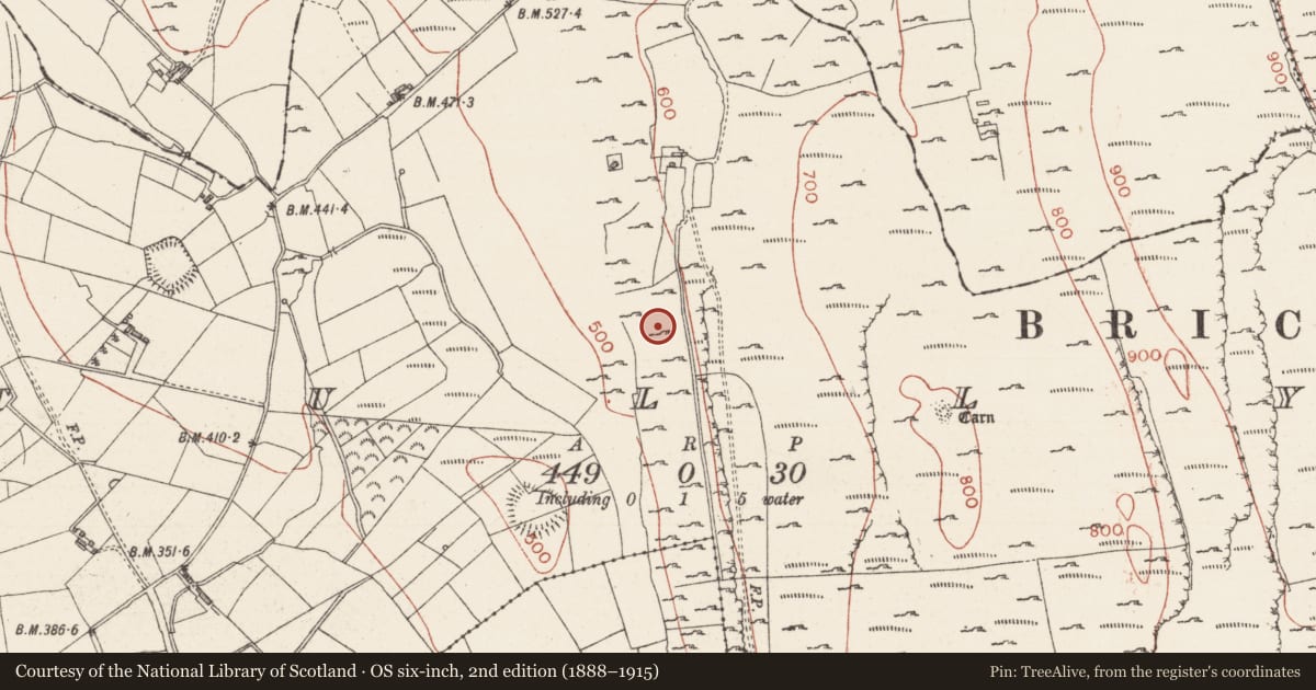 Ordnance Survey six-inch map, 2nd edition (1888–1915) covering the location of Ringfort - cashel, Tully, County Sligo, with a pin at the register's coordinates