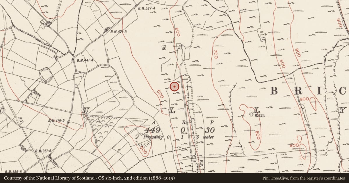 Ordnance Survey six-inch map, 2nd edition (1888–1915) covering the location of Ringfort - cashel, Tully, County Sligo, with a pin at the register's coordinates