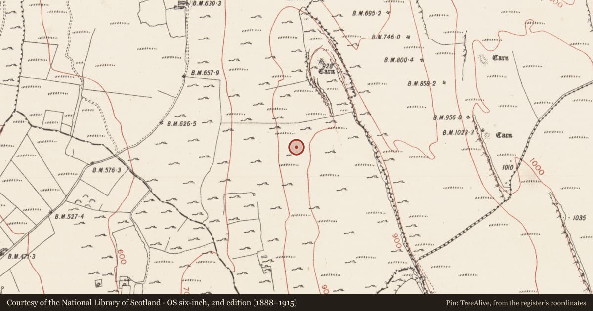 Ordnance Survey six-inch map, 2nd edition (1888–1915) covering the location of Enclosure, Treanscrabbagh, County Sligo, with a pin at the register's coordinates