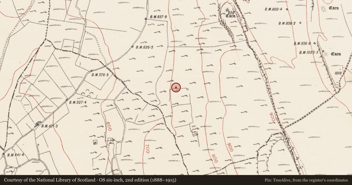 Ordnance Survey six-inch map, 2nd edition (1888–1915) covering the location of Enclosure, Treanscrabbagh, County Sligo, with a pin at the register's coordinates