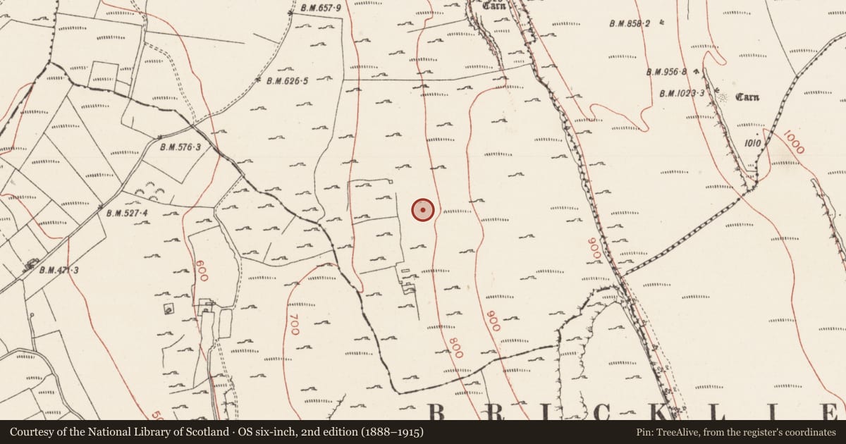 Ordnance Survey six-inch map, 2nd edition (1888–1915) covering the location of Ringfort - cashel, Treanscrabbagh, County Sligo, with a pin at the register's coordinates