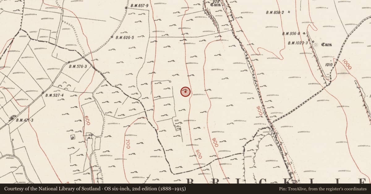 Ordnance Survey six-inch map, 2nd edition (1888–1915) covering the location of Hut site, Treanscrabbagh, County Sligo, with a pin at the register's coordinates