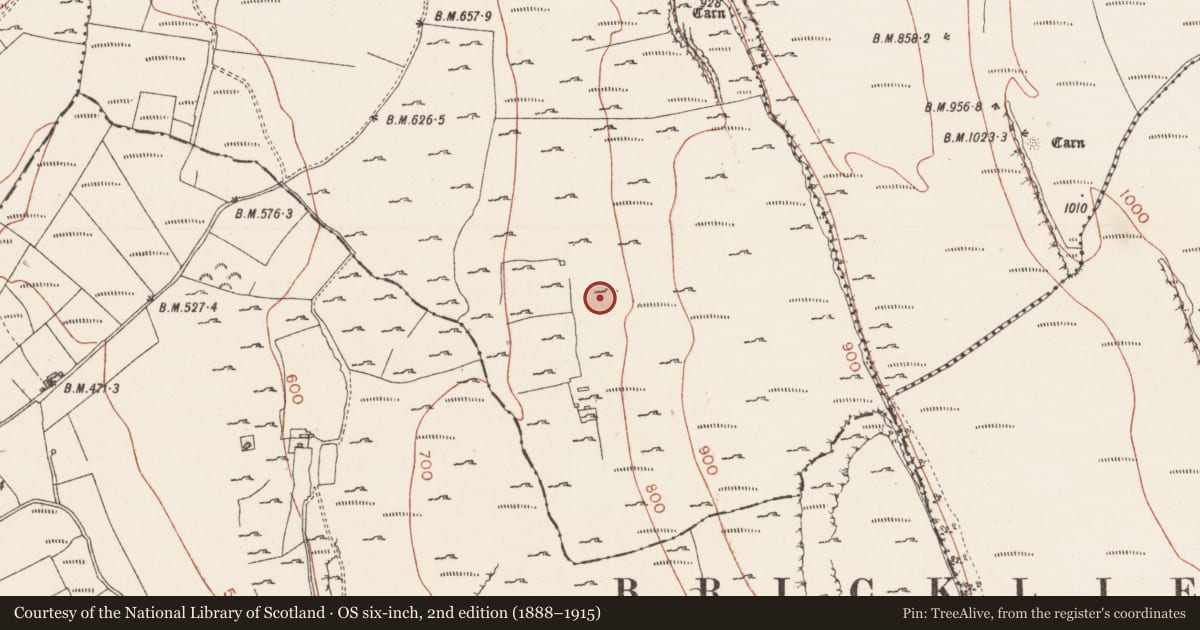 Ordnance Survey six-inch map, 2nd edition (1888–1915) covering the location of Enclosure, Treanscrabbagh, County Sligo, with a pin at the register's coordinates