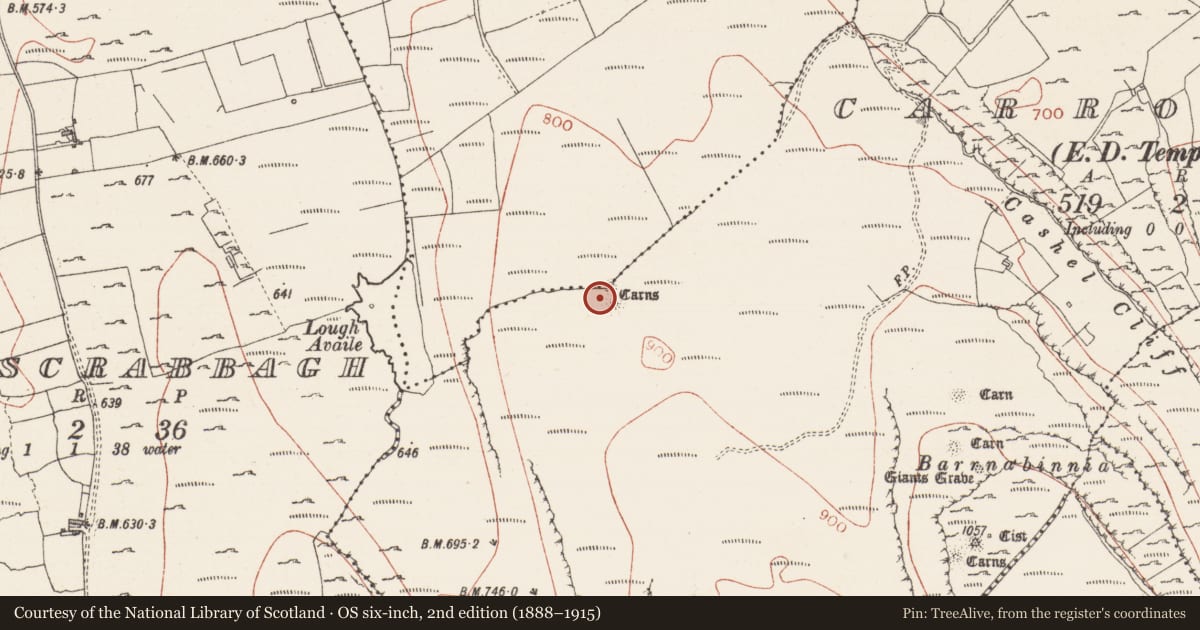 Ordnance Survey six-inch map, 2nd edition (1888–1915) covering the location of Megalithic tomb - passage tomb, Carrowkeel, Cloghoge Lower, County Sligo, with a pin at the register's coordinates