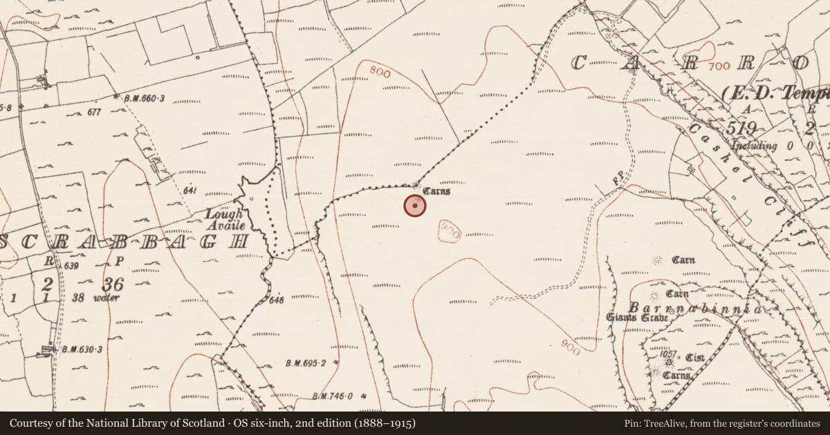 Ordnance Survey six-inch map, 2nd edition (1888–1915) covering the location of Megalithic tomb - passage tomb, Carrowkeel, County Sligo, with a pin at the register's coordinates