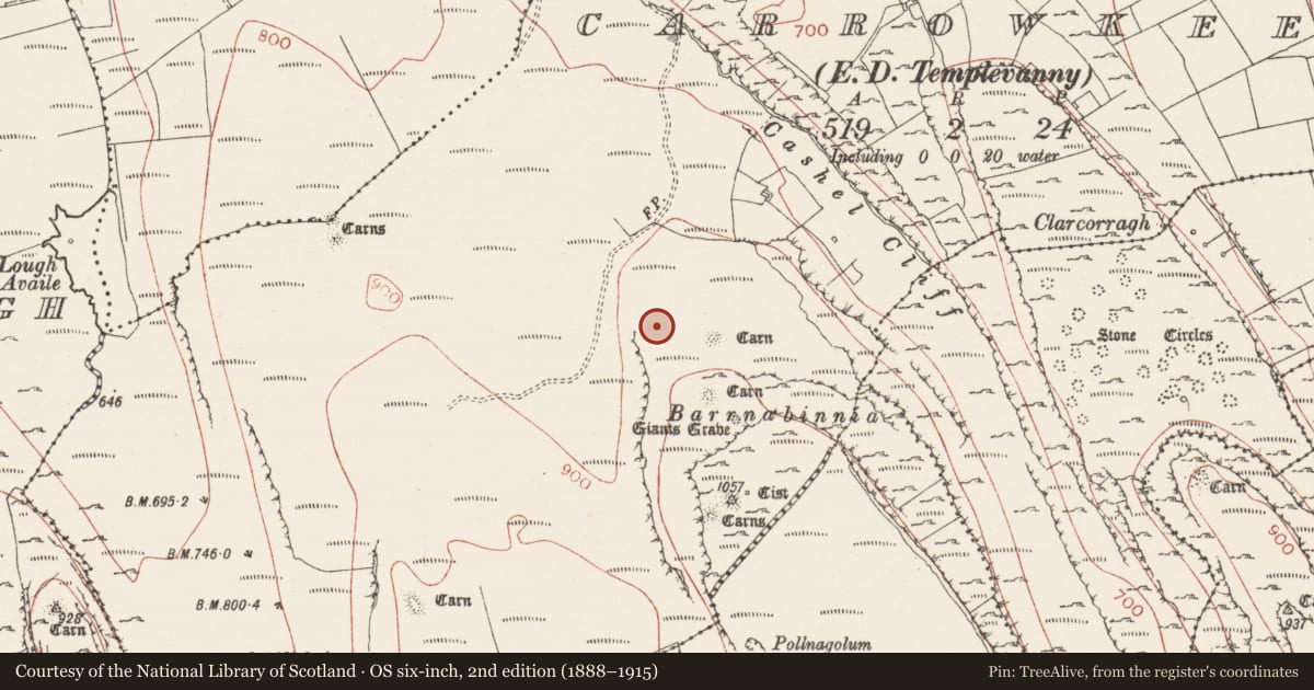 Ordnance Survey six-inch map, 2nd edition (1888–1915) covering the location of Megalithic tomb - passage tomb, Carrowkeel, County Sligo, with a pin at the register's coordinates