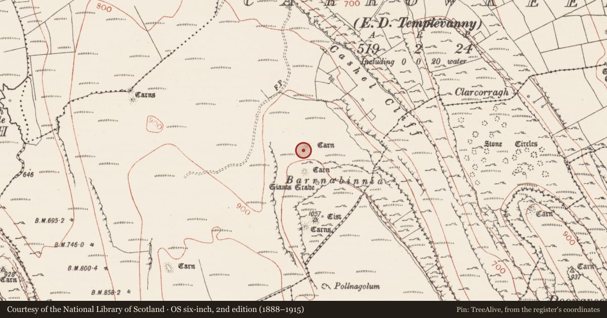 Ordnance Survey six-inch map, 2nd edition (1888–1915) covering the location of Megalithic tomb - passage tomb, Carrowkeel, County Sligo, with a pin at the register's coordinates