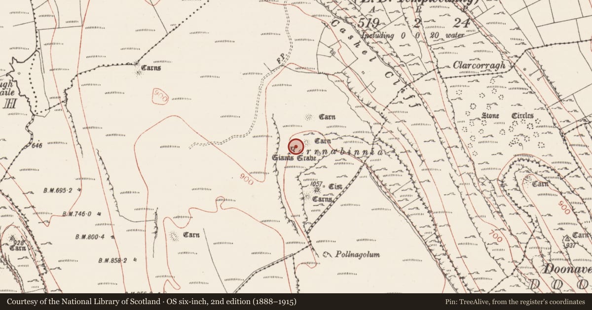 Ordnance Survey six-inch map, 2nd edition (1888–1915) covering the location of Field boundary, Carrowkeel, County Sligo, with a pin at the register's coordinates