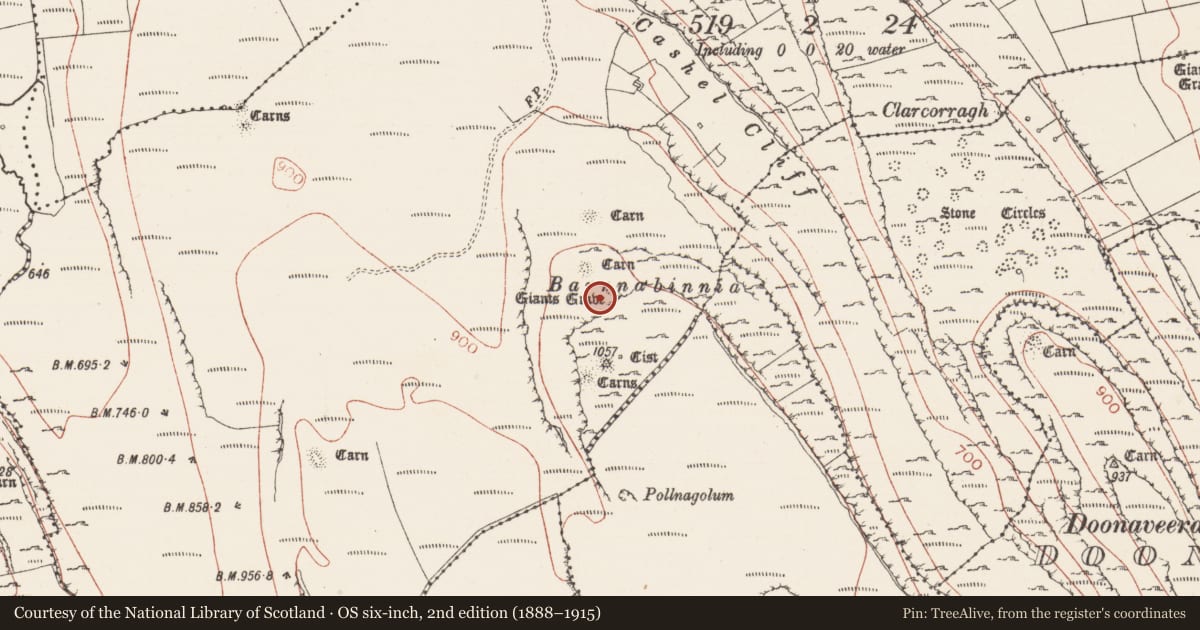 Ordnance Survey six-inch map, 2nd edition (1888–1915) covering the location of Megalithic structure, Carrowkeel, County Sligo, with a pin at the register's coordinates