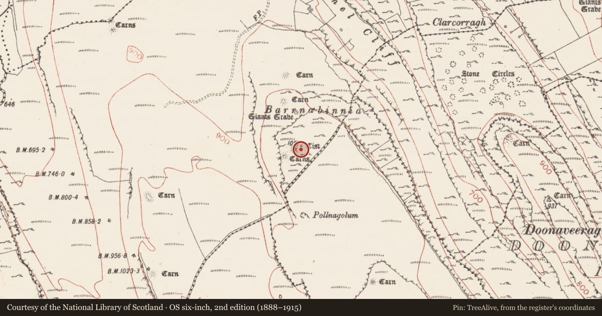 Ordnance Survey six-inch map, 2nd edition (1888–1915) covering the location of Cist, Carrowkeel, County Sligo, with a pin at the register's coordinates