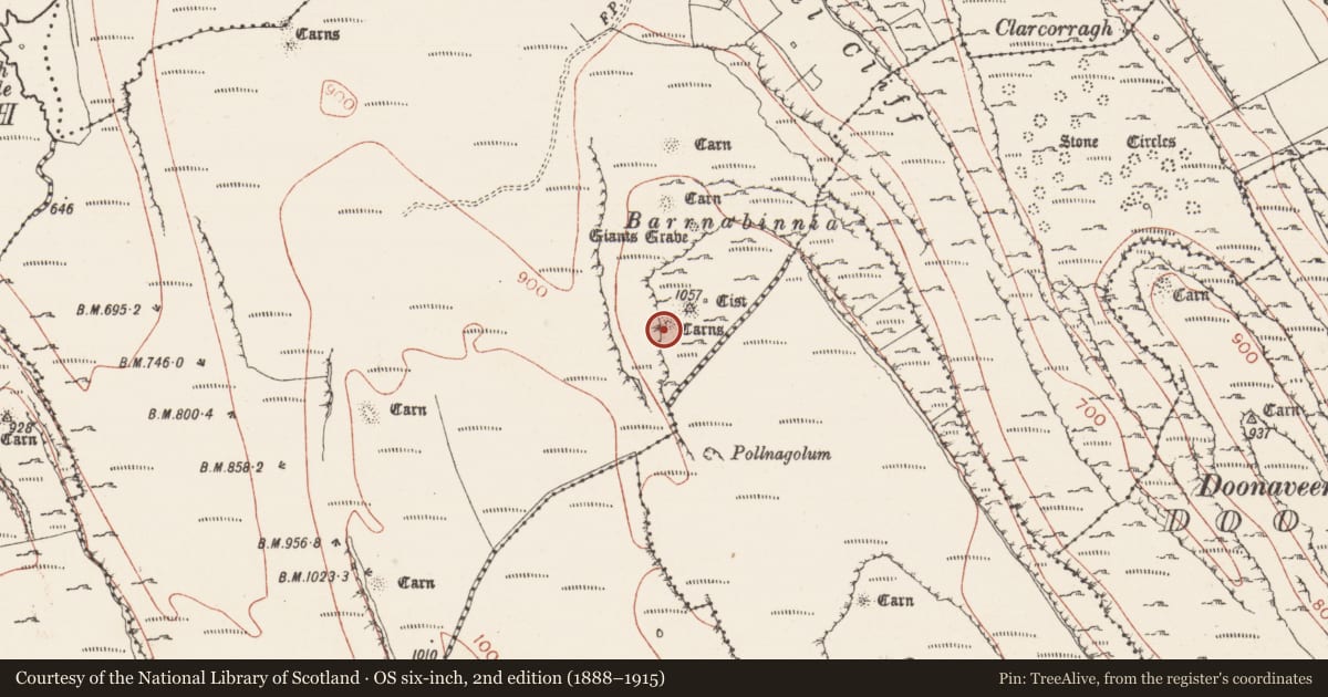 Ordnance Survey six-inch map, 2nd edition (1888–1915) covering the location of Megalithic tomb - passage tomb, Carrowkeel, County Sligo, with a pin at the register's coordinates