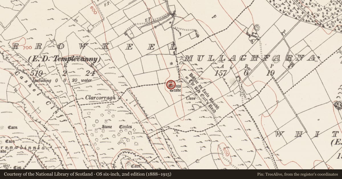 Ordnance Survey six-inch map, 2nd edition (1888–1915) covering the location of Megalithic tomb - court tomb, Mullaghfarna, Carrowkeel, County Sligo, with a pin at the register's coordinates