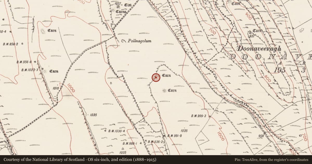 Ordnance Survey six-inch map, 2nd edition (1888–1915) covering the location of Megalithic tomb - passage tomb, Carricknahorna East, County Sligo, with a pin at the register's coordinates