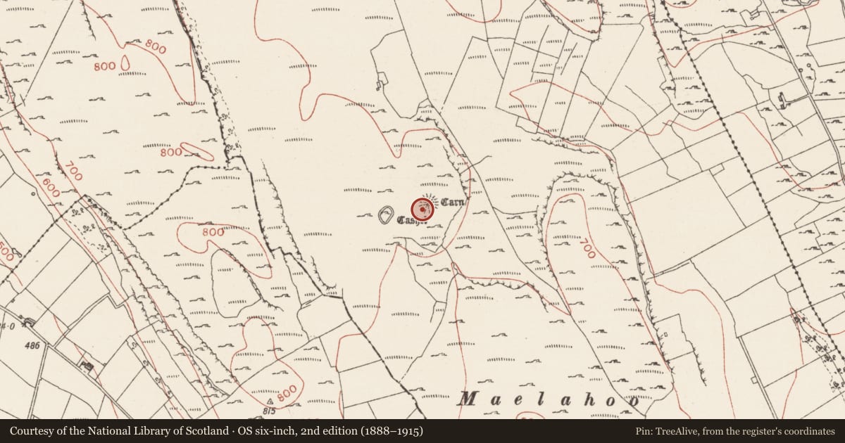 Ordnance Survey six-inch map, 2nd edition (1888–1915) covering the location of Cairn - unclassified, Carricknahorna West, County Sligo, with a pin at the register's coordinates