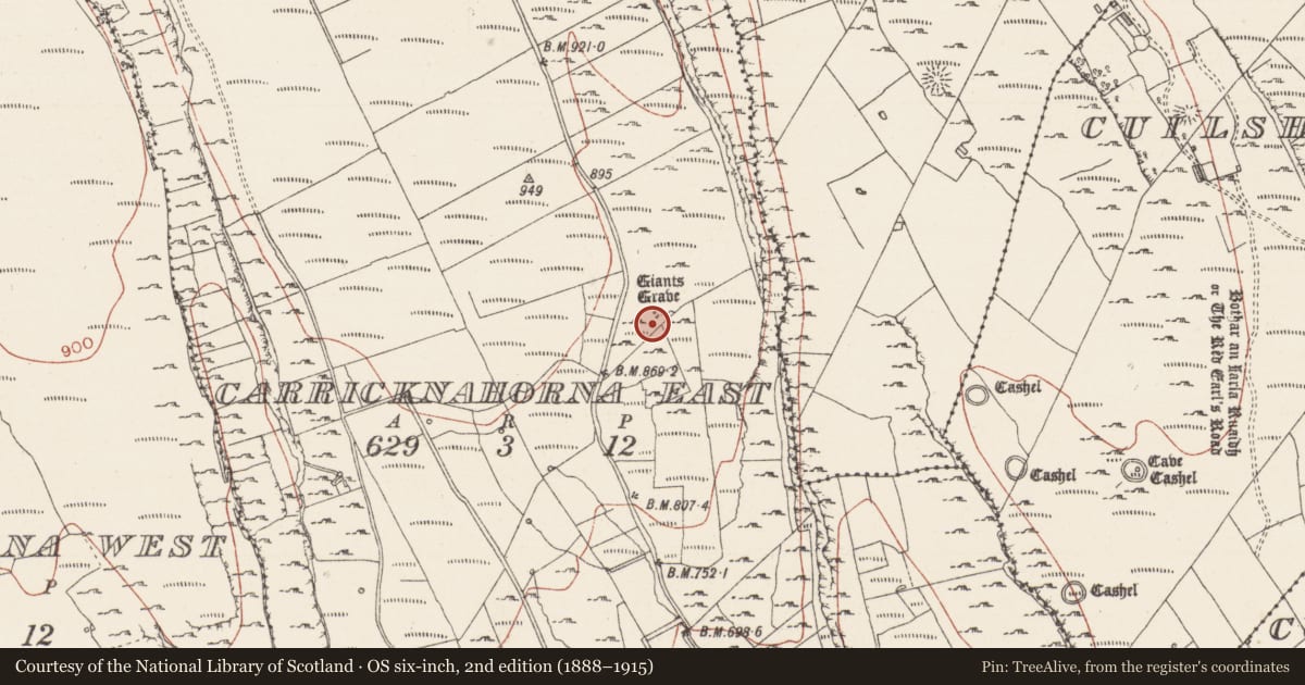 Ordnance Survey six-inch map, 2nd edition (1888–1915) covering the location of Megalithic tomb - court tomb, Carricknahorna East, County Sligo, with a pin at the register's coordinates