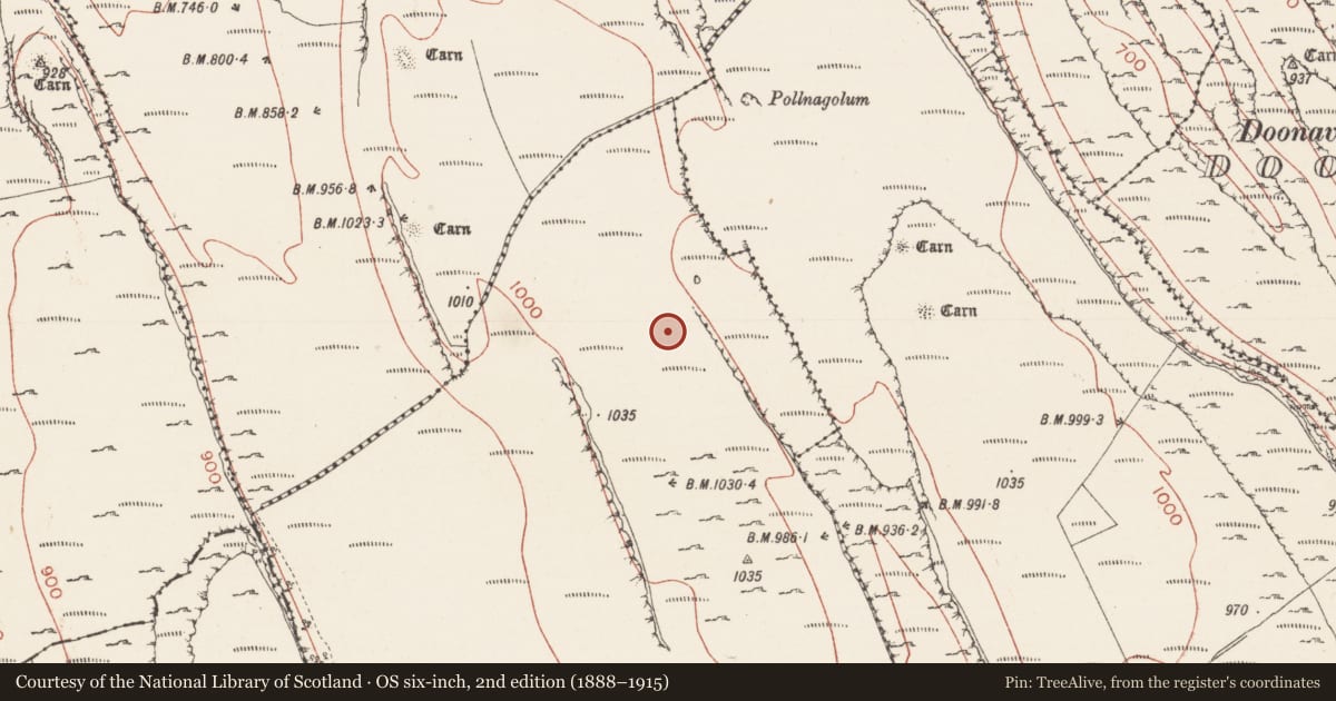 Ordnance Survey six-inch map, 2nd edition (1888–1915) covering the location of Standing stone, Carricknahorna West, County Sligo, with a pin at the register's coordinates