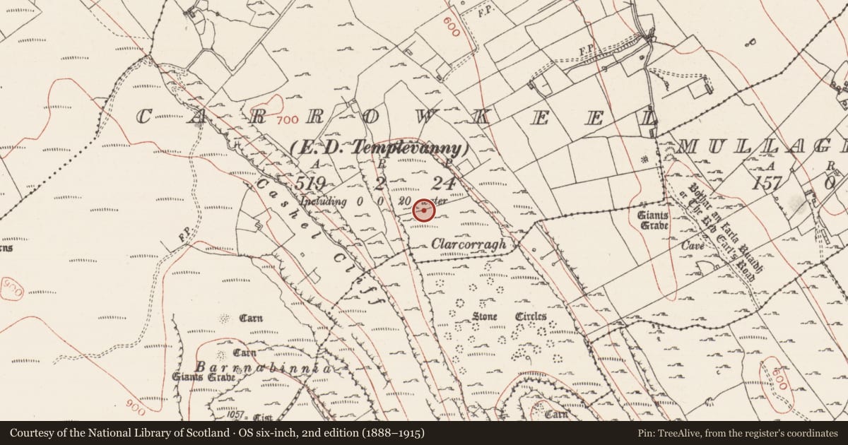 Ordnance Survey six-inch map, 2nd edition (1888–1915) covering the location of Ringfort - cashel, Carrowkeel, County Sligo, with a pin at the register's coordinates