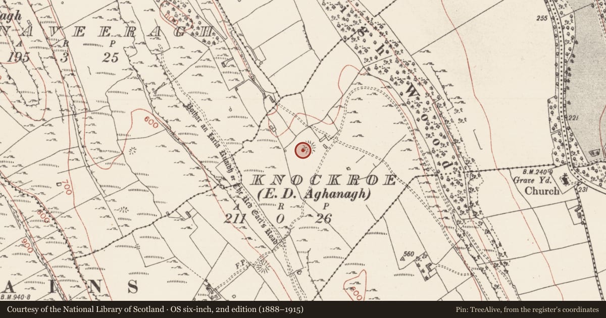 Ordnance Survey six-inch map, 2nd edition (1888–1915) covering the location of Ringfort - cashel, Knockroe, County Sligo, with a pin at the register's coordinates