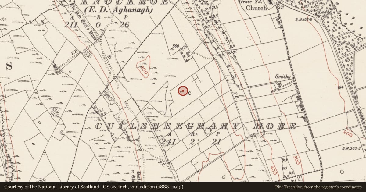 Ordnance Survey six-inch map, 2nd edition (1888–1915) covering the location of Ringfort - rath, Cuilsheeghary More, County Sligo, with a pin at the register's coordinates