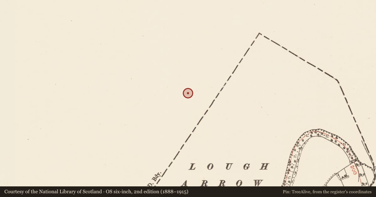 Ordnance Survey six-inch map, 2nd edition (1888–1915) covering the location of Crannog, Lough Arrow, County Sligo, with a pin at the register's coordinates