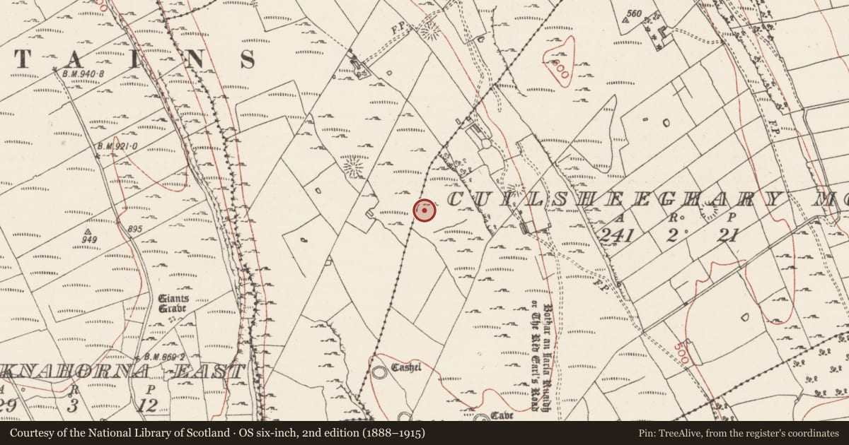 Ordnance Survey six-inch map, 2nd edition (1888–1915) covering the location of Enclosure, Cuilsheeghary More, County Sligo, with a pin at the register's coordinates